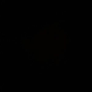 Meet your Posher, Harmony